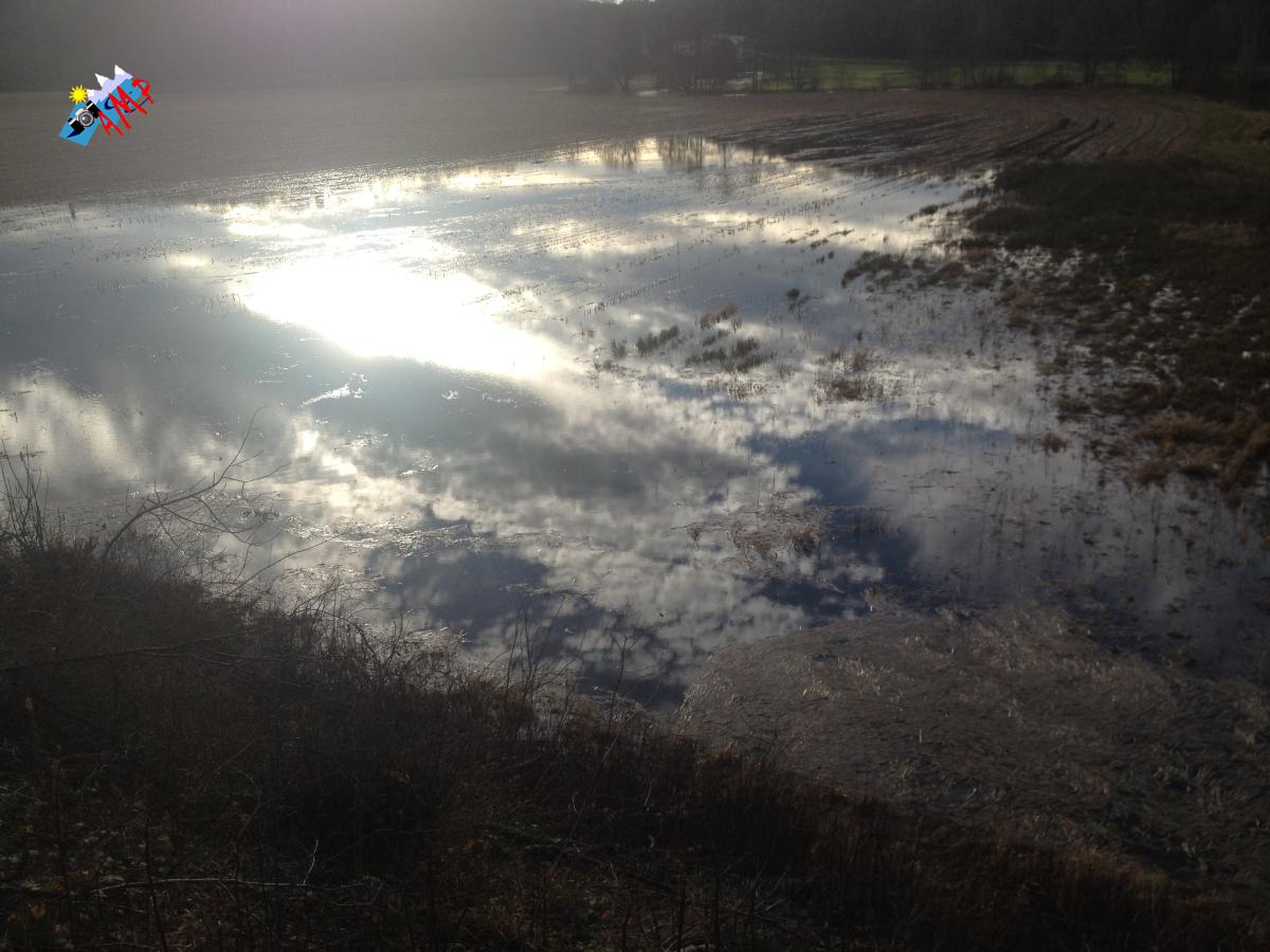 N2012-12_29_IPH_0741-reflets_HG