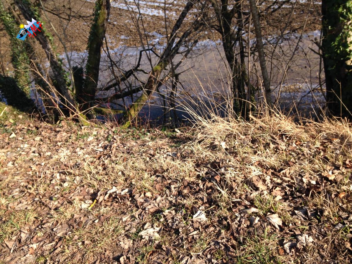 N2015-02_07_IPH_3302_HG