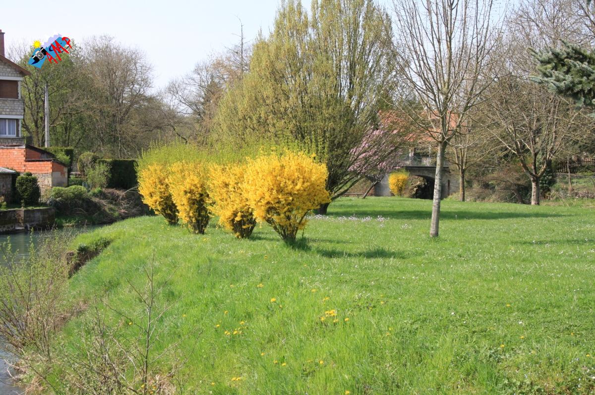N2009-04_11A_IMG_2815_HG