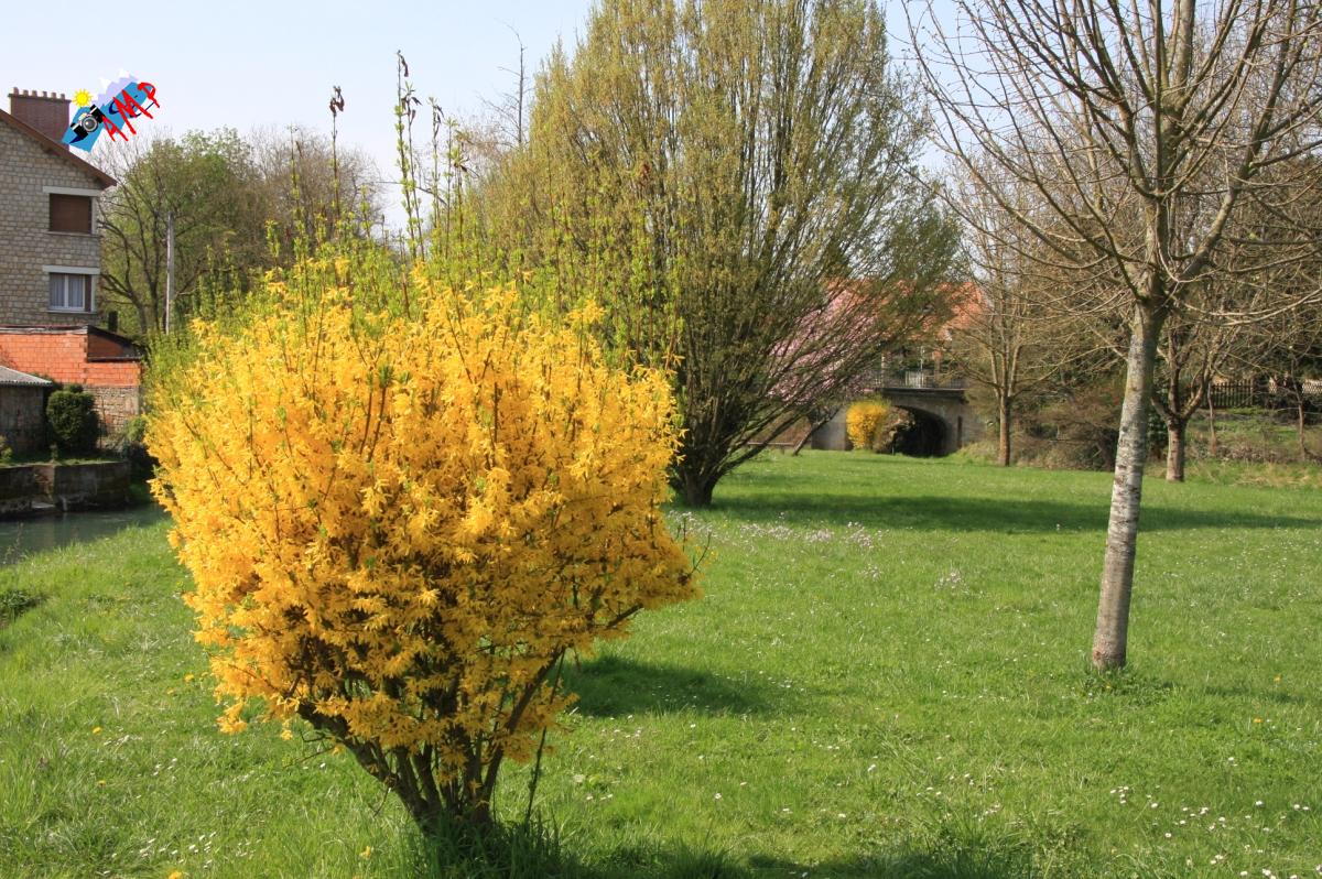N2009-04_11A_IMG_2820_HG