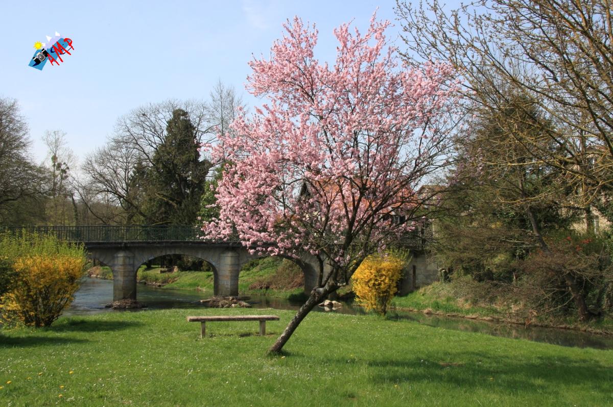 N2009-04_11A_IMG_2838_HG