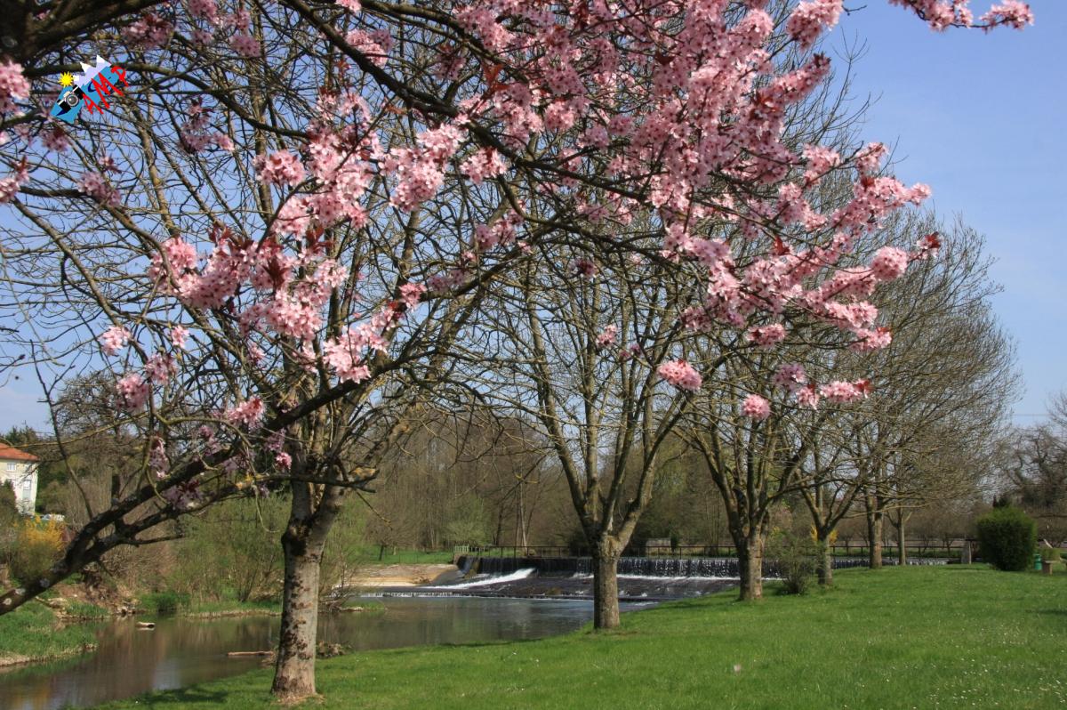 N2009-04_11A_IMG_2867_HG