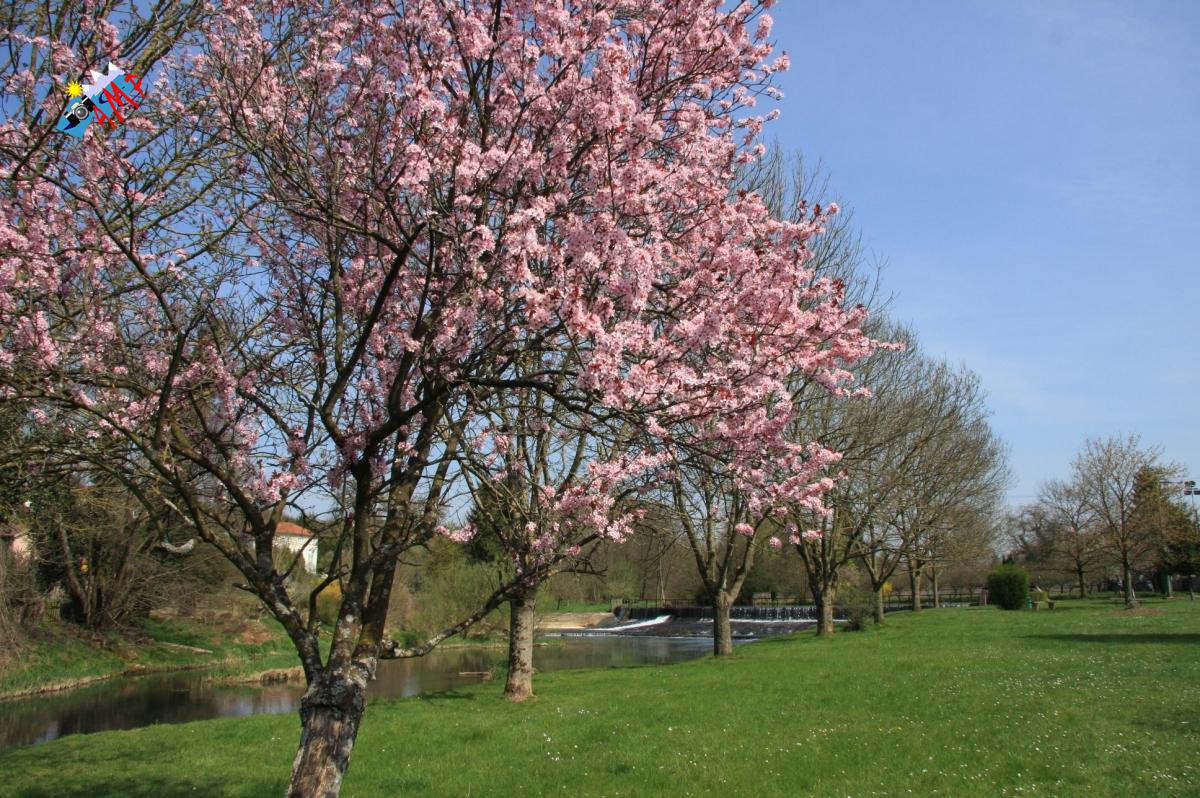 N2009-04_11A_IMG_2869_HG