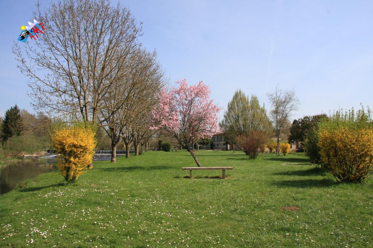 N2009-04_11A_IMG_2873_HG