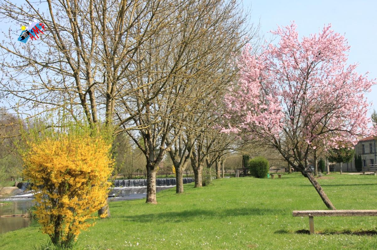 N2009-04_11A_IMG_2876_HG