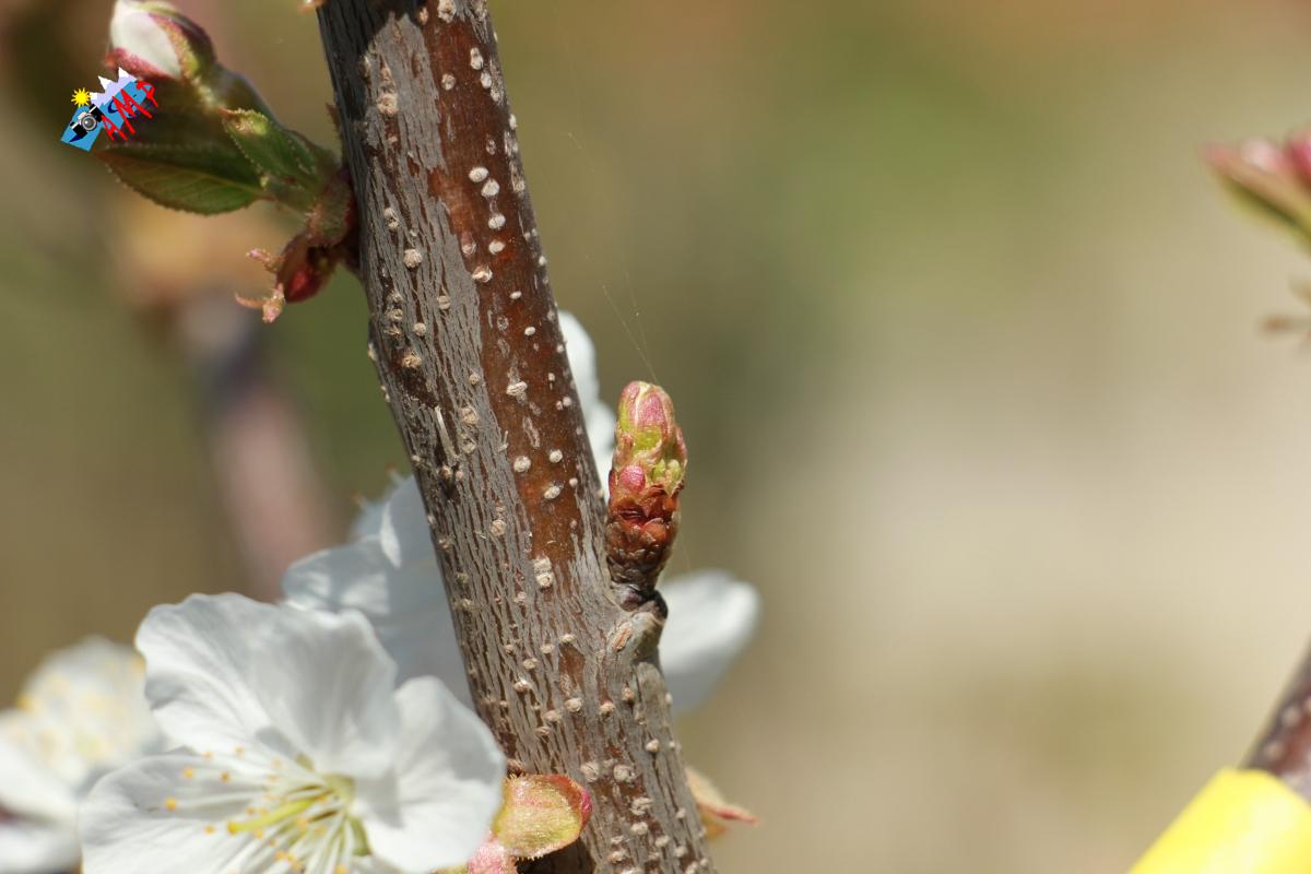 N2014-04_11_IMG_2219_HG