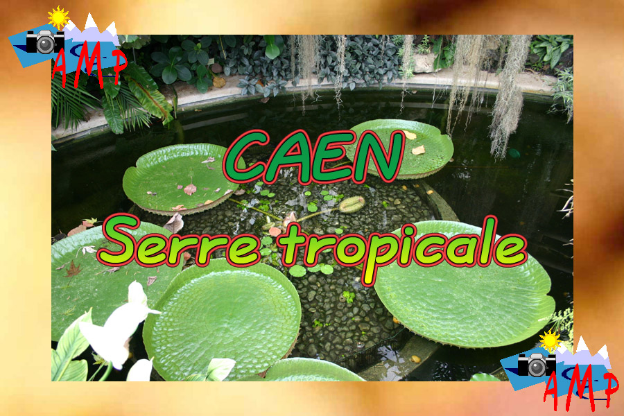 001-AMPtete-3