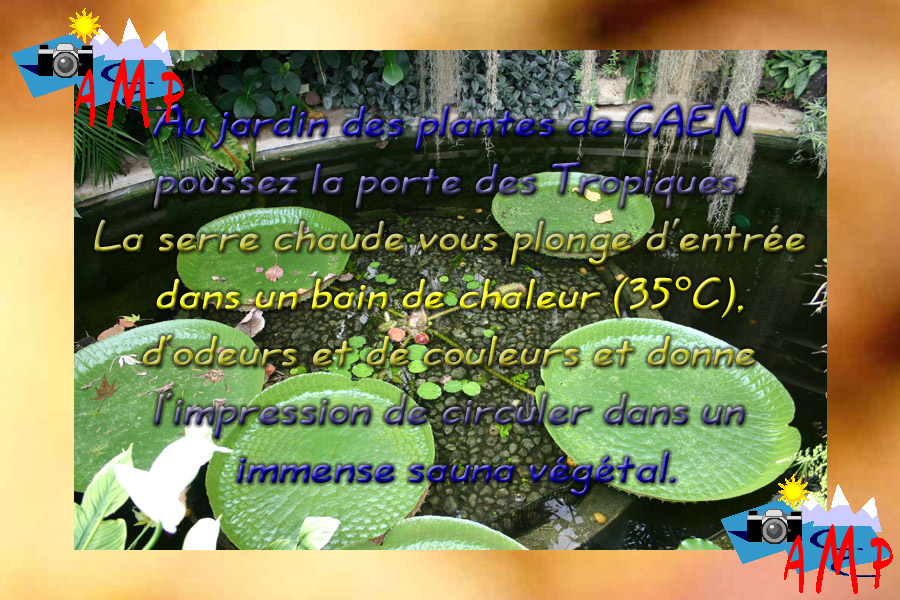 001-AMPtete-3A