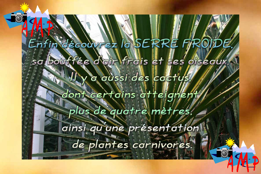 001-AMPtete-3C