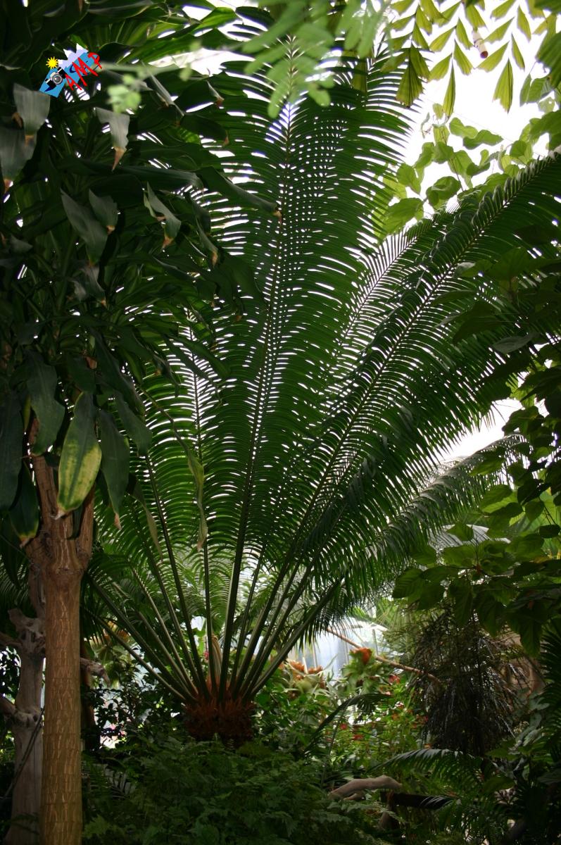 2005-IMG_2014_HG
