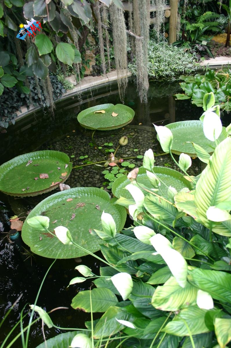 2005-IMG_2032_HG