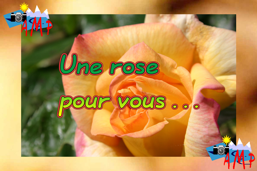 001-AMPtete-4