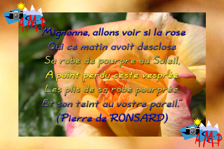 001-AMPtete-4A