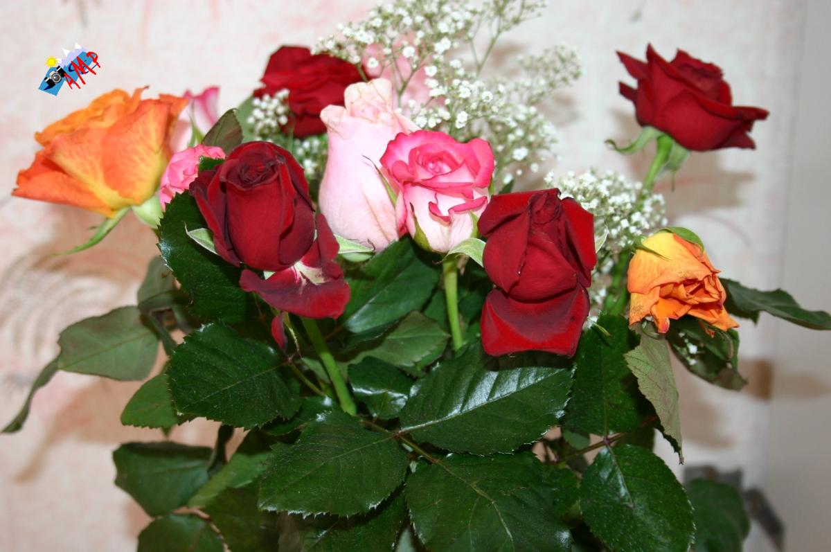 2007-IMG_0013_HG