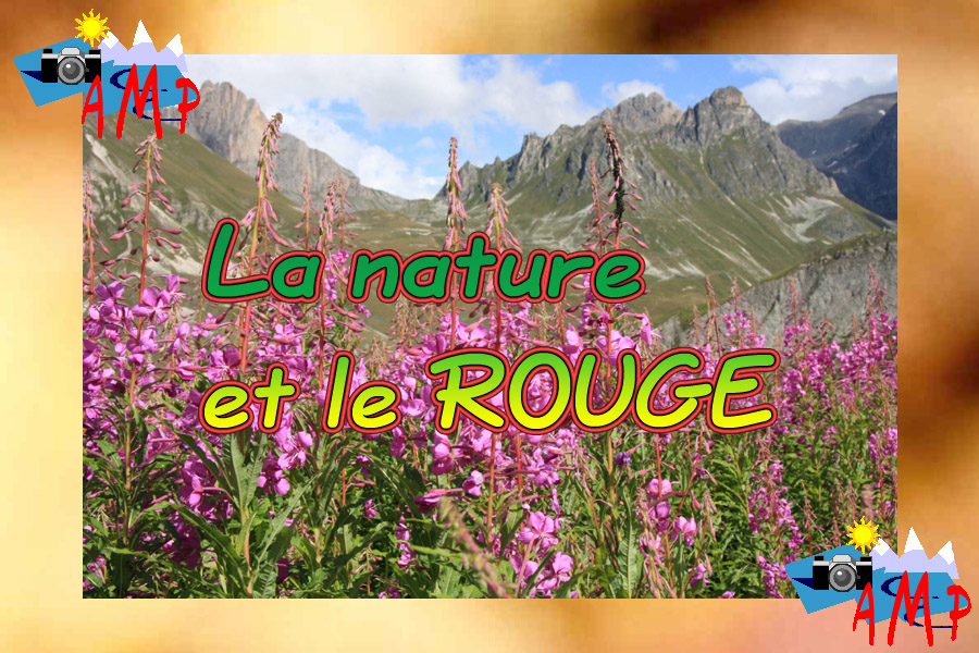 001-AMPtete-5