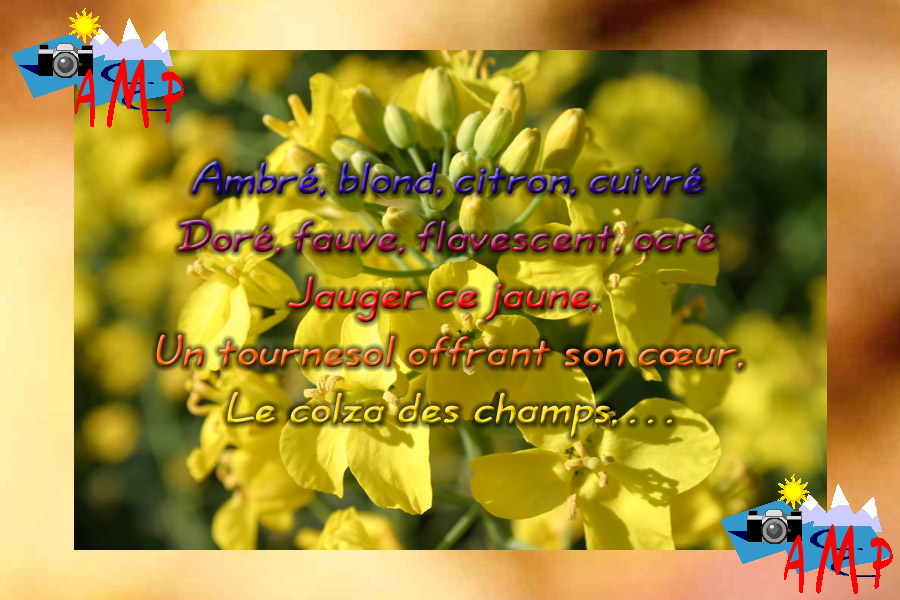 001-AMPtete-6A