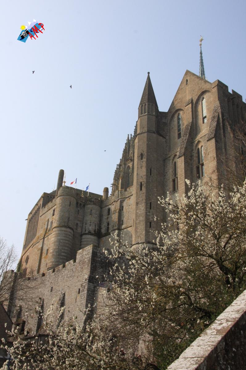 N2010_NORMANDIE-04_15B_IMG_6282_HG